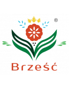 BRZEŚĆ