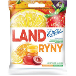 WEDEL CUKIERKI LANDRYNY 90G